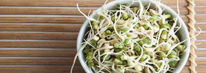 Improving Productivity Through Sprouts