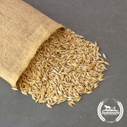 Einkorn Grain Seeds (Organic)