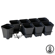Growing Kit 5 Inch Pots Tray Insert With White Background