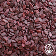 Gourd Seeds - Apple Small (Treated) - Clearance Seeds