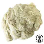 Cotton Erlene white background.