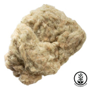 Close-up of a cotton on a white background.