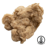 Cotton Sea Island white background