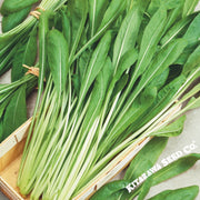 Mustard Seeds Early Mibuna