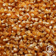 Corn Seeds - Serendipity Hybrid - Clearance Seeds