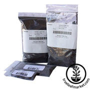 cover-crop-inoculant-soybean