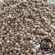 heirloom-grain-seed-millet-seed-german-golden-millet-seed
