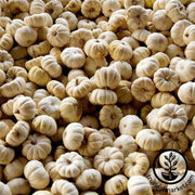 pumpkin-baby-boo-treated