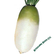 radish-seeds-korean-big-time-hybrid