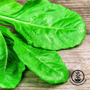 spinach-seeds-winter-giant