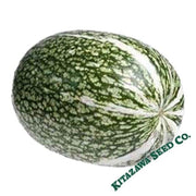squash-seeds-winter-shark-fin-squash-gom-bo