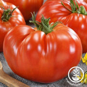 tomato-seeds-giant-red-beefsteak