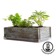 Barnwood Planter Organic Culinary Herb Garden Kit aged white background