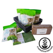 Dog & Cat Pet Grass Kit