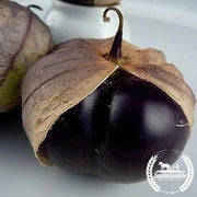 Organic Purple Tomatillo Seeds - Non-GMO