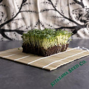 Grown Microgreens - Cabbage Seeds, Pak Choi - Rosette Tatsoi