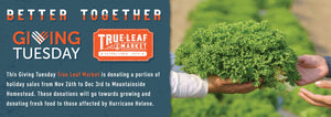 giving tuesday header and person handing off a box of greens