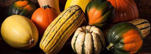 The 3 Essential Steps for Storing Winter Squash