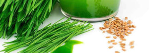 40 Benefits of Wheat Grass Juice - Nutritional Facts