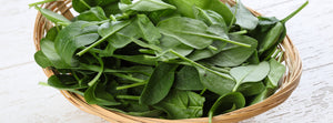 bowl of spinach greens