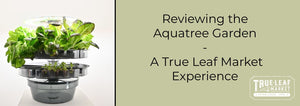 Aquatree Garden Review Header "Reviewing the Aquatree Garden: A True Leaf Market Experience"