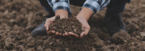 hands holding compost over soil in a garden