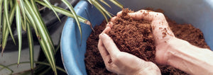 Ditch Peat and Embrace Coco Coir