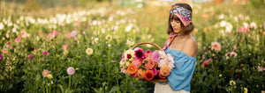Woman Flower Farmer holding a basket of fresh cut dahlias