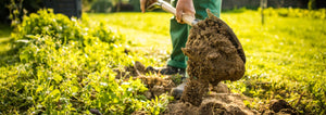 Gardener turning over soil in a new garden plot