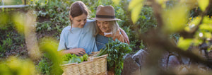 grandmother and granddaughter harvesting from the garden