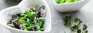 heart-shaped bowl of microgreens