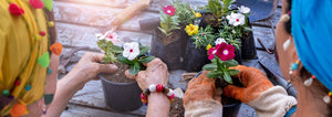 two women potting flowers on a wood table