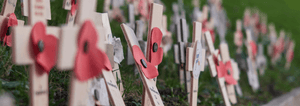 Memorial crosses with poppies on them
