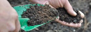 A person scooping up soil or compost with a hand trowel