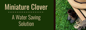 Miniature Clover Lawn Header