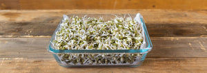 Restaurant-style mung bean sprouts