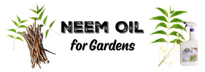 Neem Oil for gardens with neem roots, leaves, and Bonide Captain Jack's Neem Oil garden spray