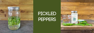 Pickled Peppers