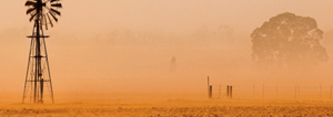 dust sweeps across a field during the dry season