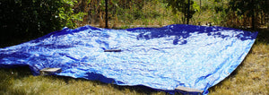 solarization of lawn grass into a garden plot