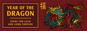 2024 Year of the Dragon Lunar New Year Illustration by Jason Jones