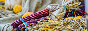 decorative corn on the cob