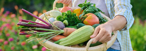 woman holding a basket of freshly harvested vegetables