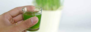 How much Wheatgrass Juice to drink?