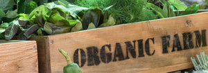 A produce box stamped on the side with "Organic Farm"