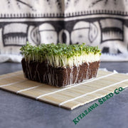 Cabbage Pak Choi White Stem Microgreens Seeds