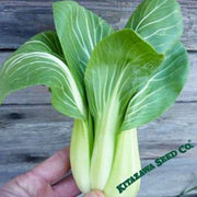 certified-organic-heirloom-vegetable-seeds-organic-cabbage-seeds-organic-baby-pak-choi