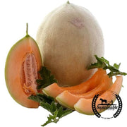  Melon Honeydew Stutz Supreme Organic