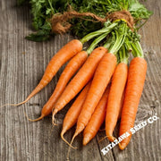 Carrot Seeds - Kuroda Long 8"