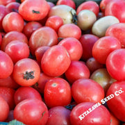 Tomato Seeds - Pink Thai Egg